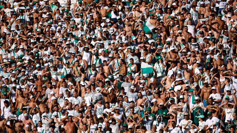 Brasileiro Championship - Palmeiras v Fluminense