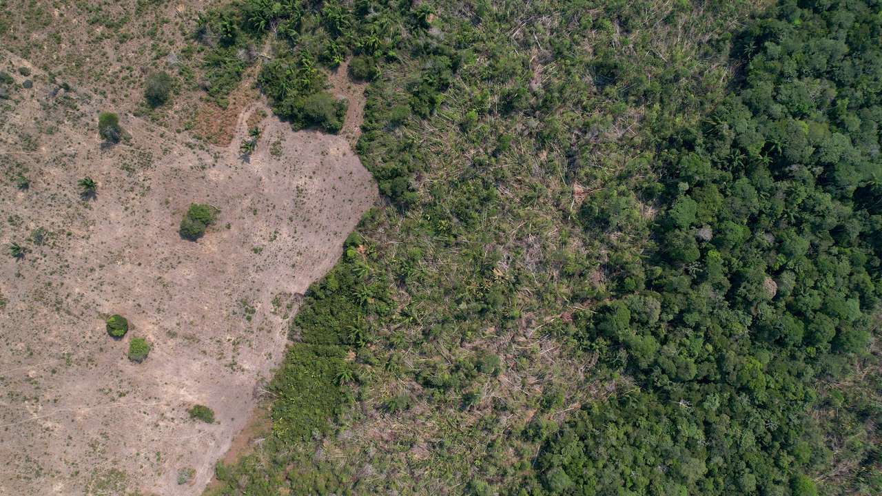 A drone view shows a deforested plot of Brazil's Amazon rainforest in the municipality of Humaita