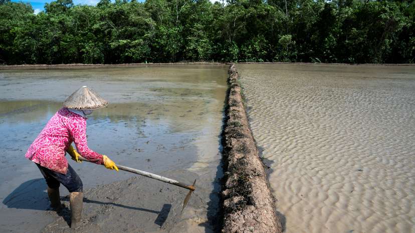 FILE PHOTO: Starving the Mekong: Lives are remade as dams built by China upstream deprive Mekong River Delta of precious sediment