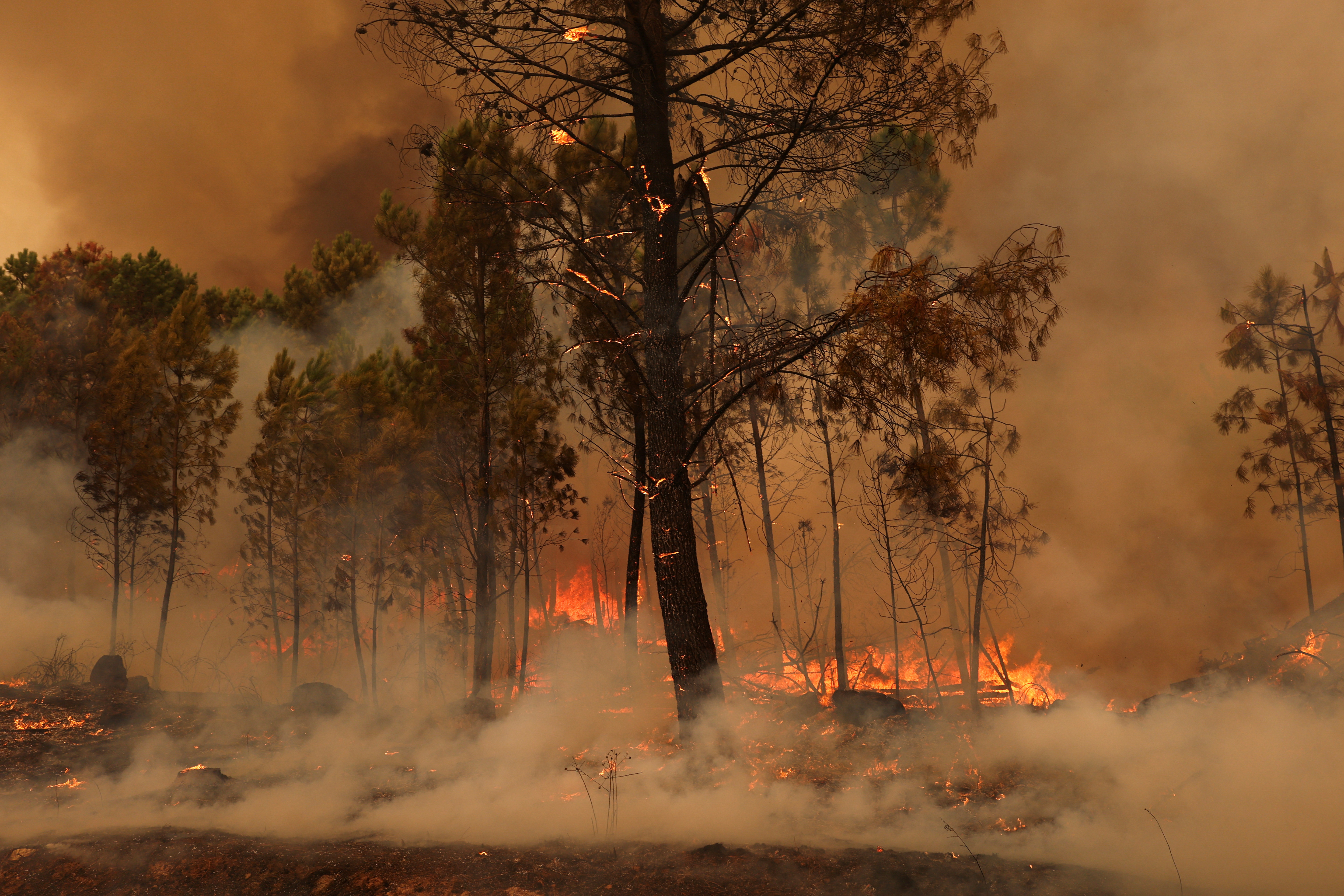 View of a burning area during a wildfire in Sao Pedro do Sul