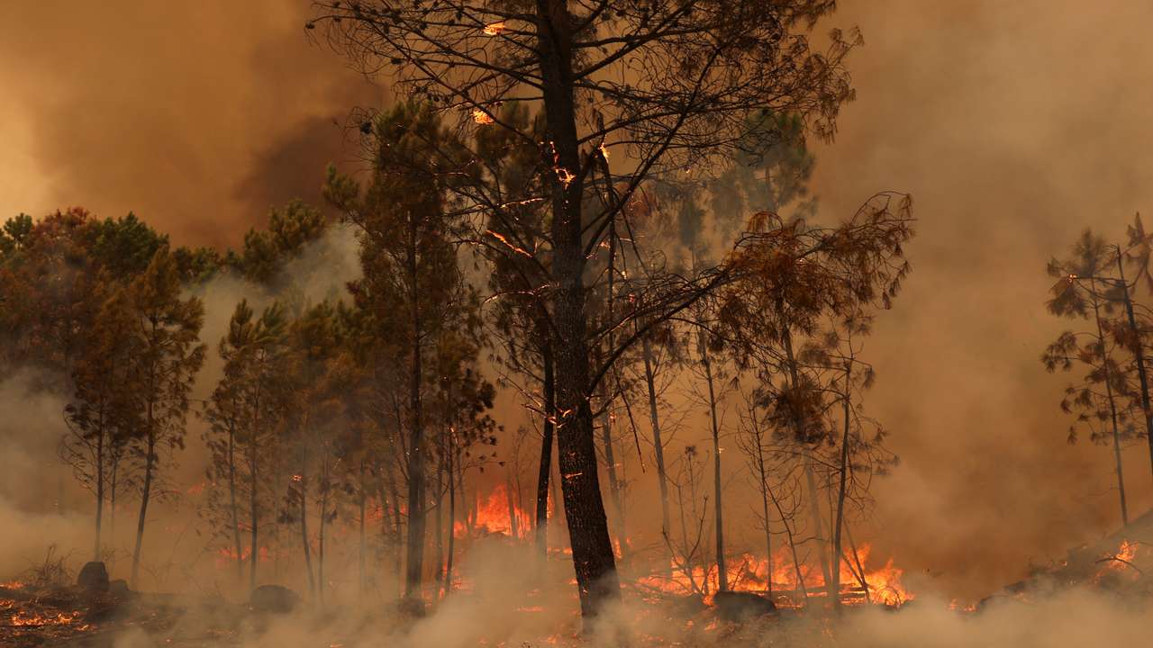 View of a burning area during a wildfire in Sao Pedro do Sul