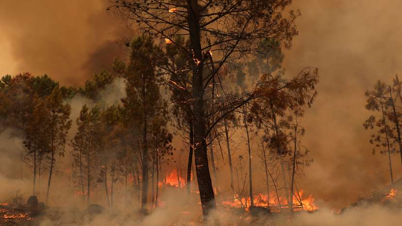 View of a burning area during a wildfire in Sao Pedro do Sul