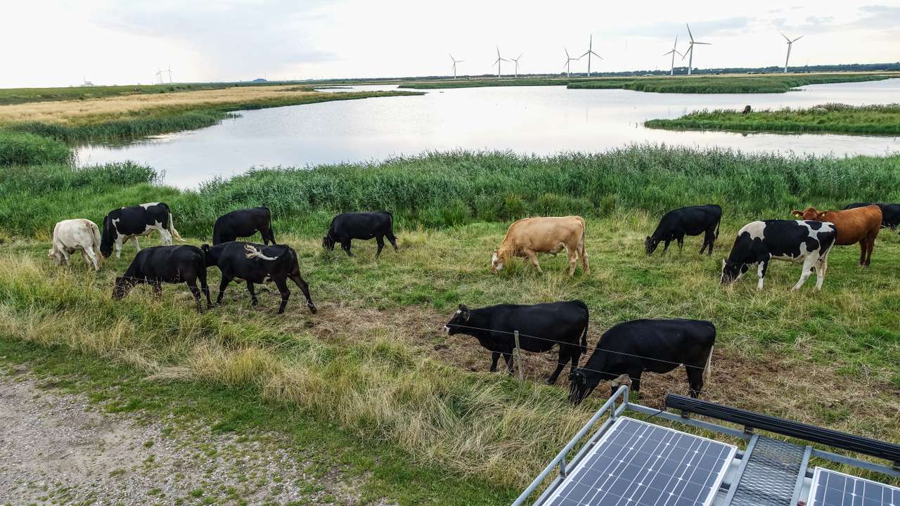 Daily Life in Denmark