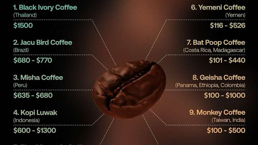 Good morning, coffee lovers! Ever wondered how much the most exclusive brews cost Here are some of the priciest coffees in the world Black Ivory Coffee – This rare Thai specialty is made using elephant digesti
