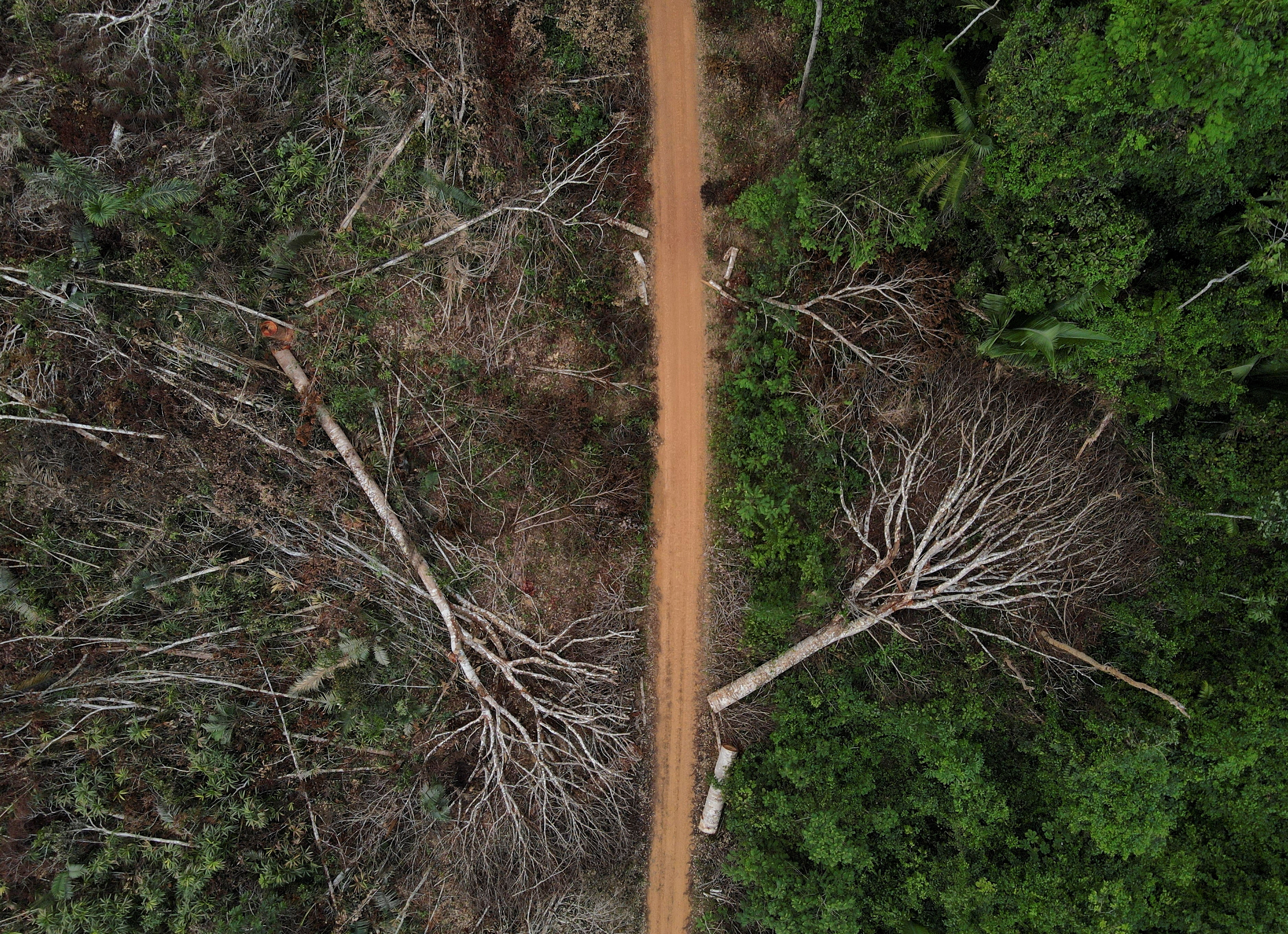 Fires surge in Brazilian Amazon for third straight year in August, in Apui