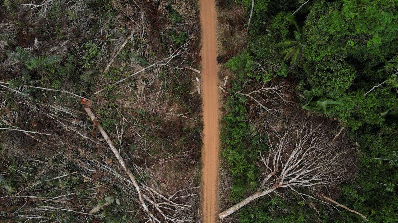 Fires surge in Brazilian Amazon for third straight year in August, in Apui