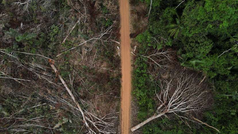 Fires surge in Brazilian Amazon for third straight year in August, in Apui
