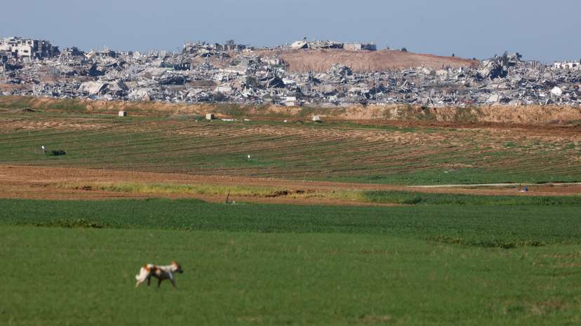 Destroyed buildings lie in ruin in north Gaza