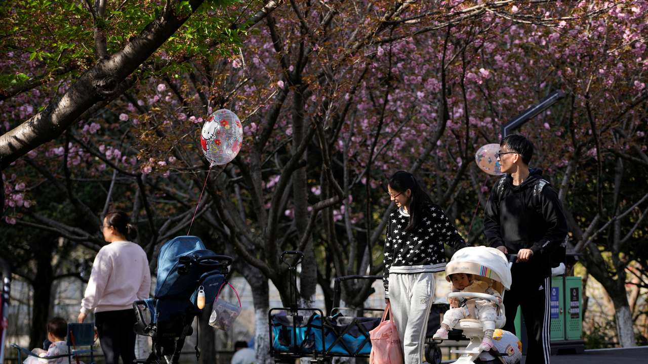 A parents pushes a stroller with a baby in a park in Shanghai