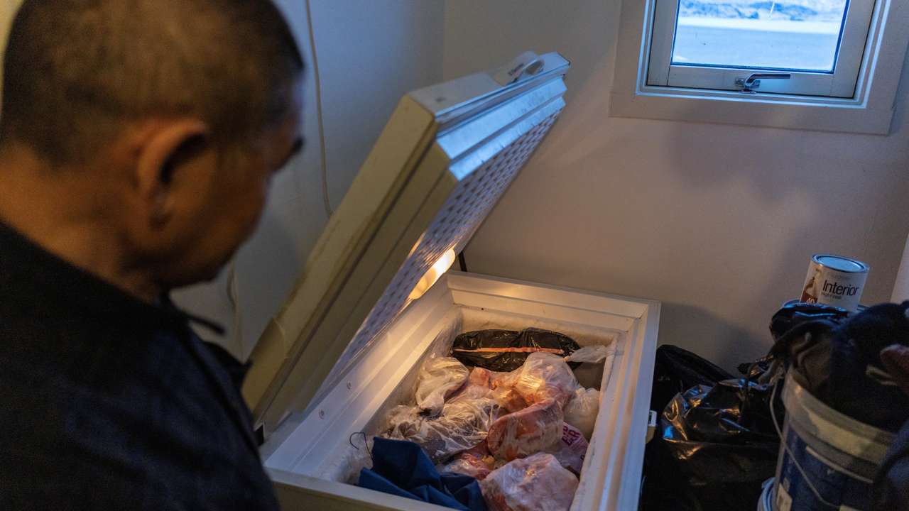 Freezers full of seal meat: How Greenland's hunting culture helps emergency preparedness