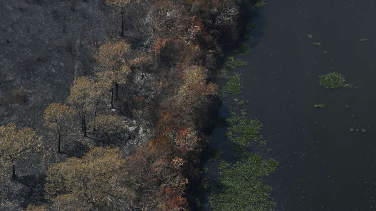 An aerial view shows burnt trees near a river in The Pantanal, the world's largest wetland, in Pocone