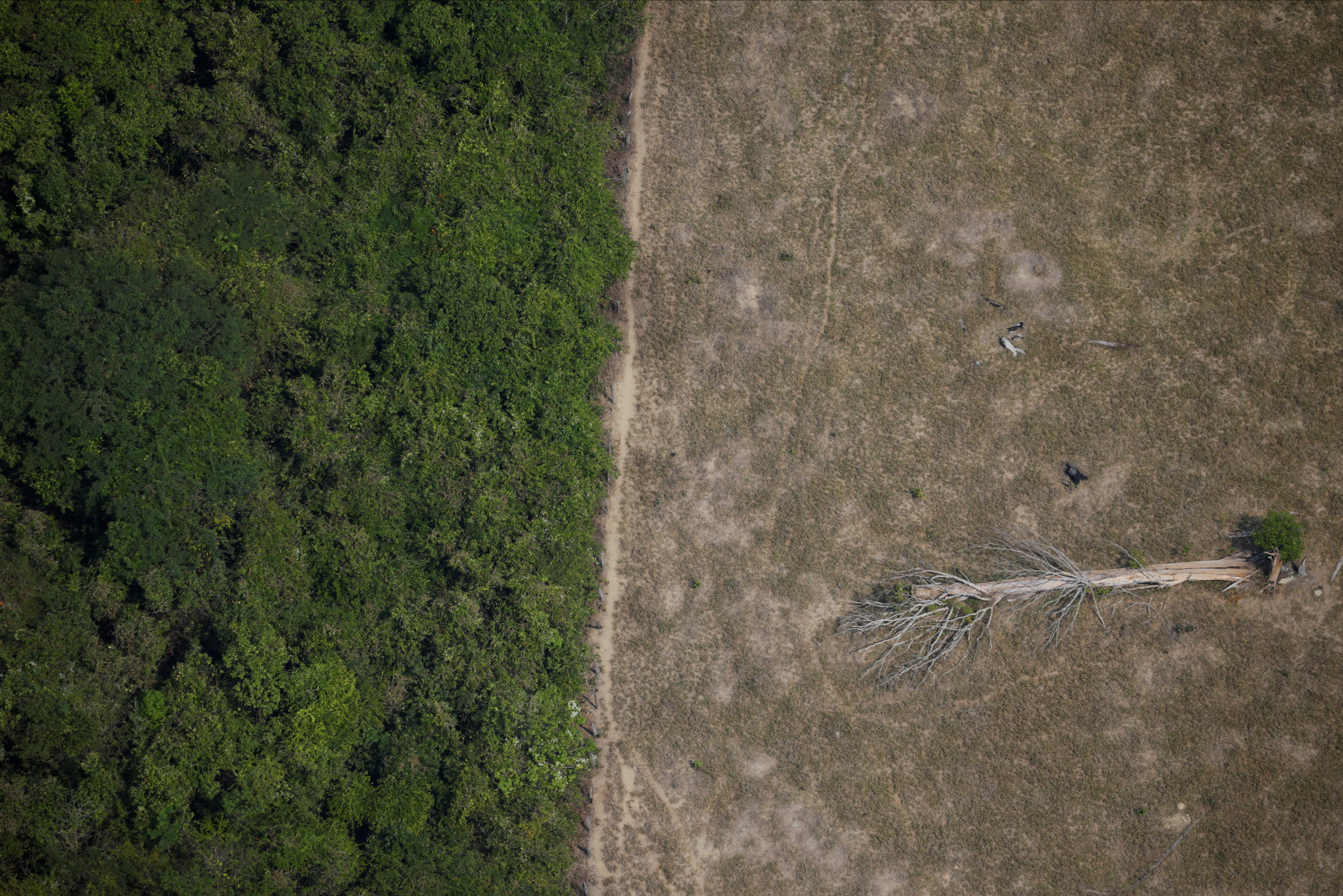 Pictures of the Year