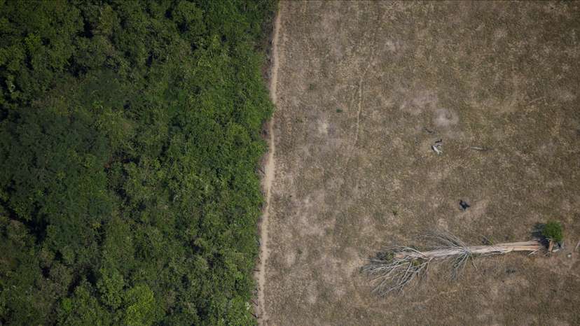 Pictures of the Year