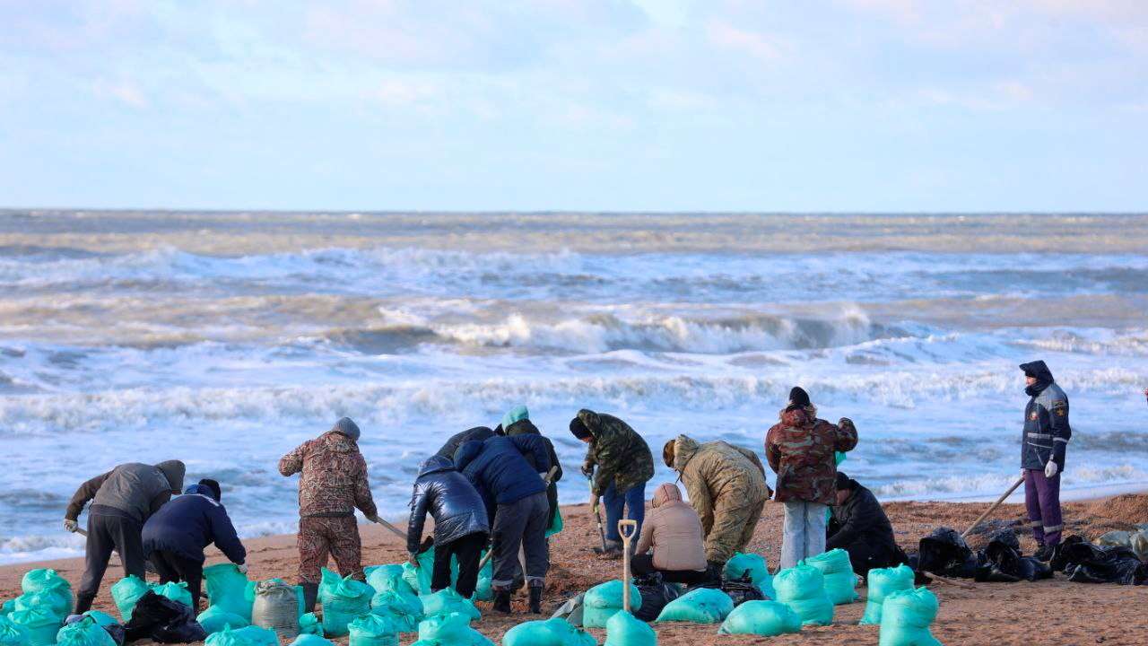 Volunteers eliminate consequences of oil spillage in Anapa