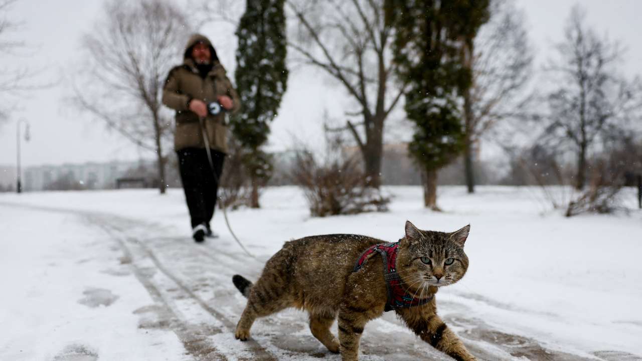 Blizzards blanket Moscow in snow after unusually mild winter