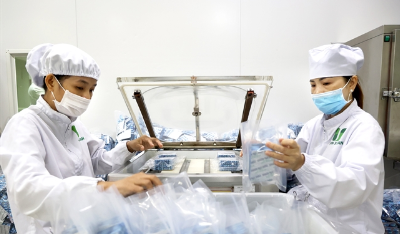 Vietnam medicine shortage