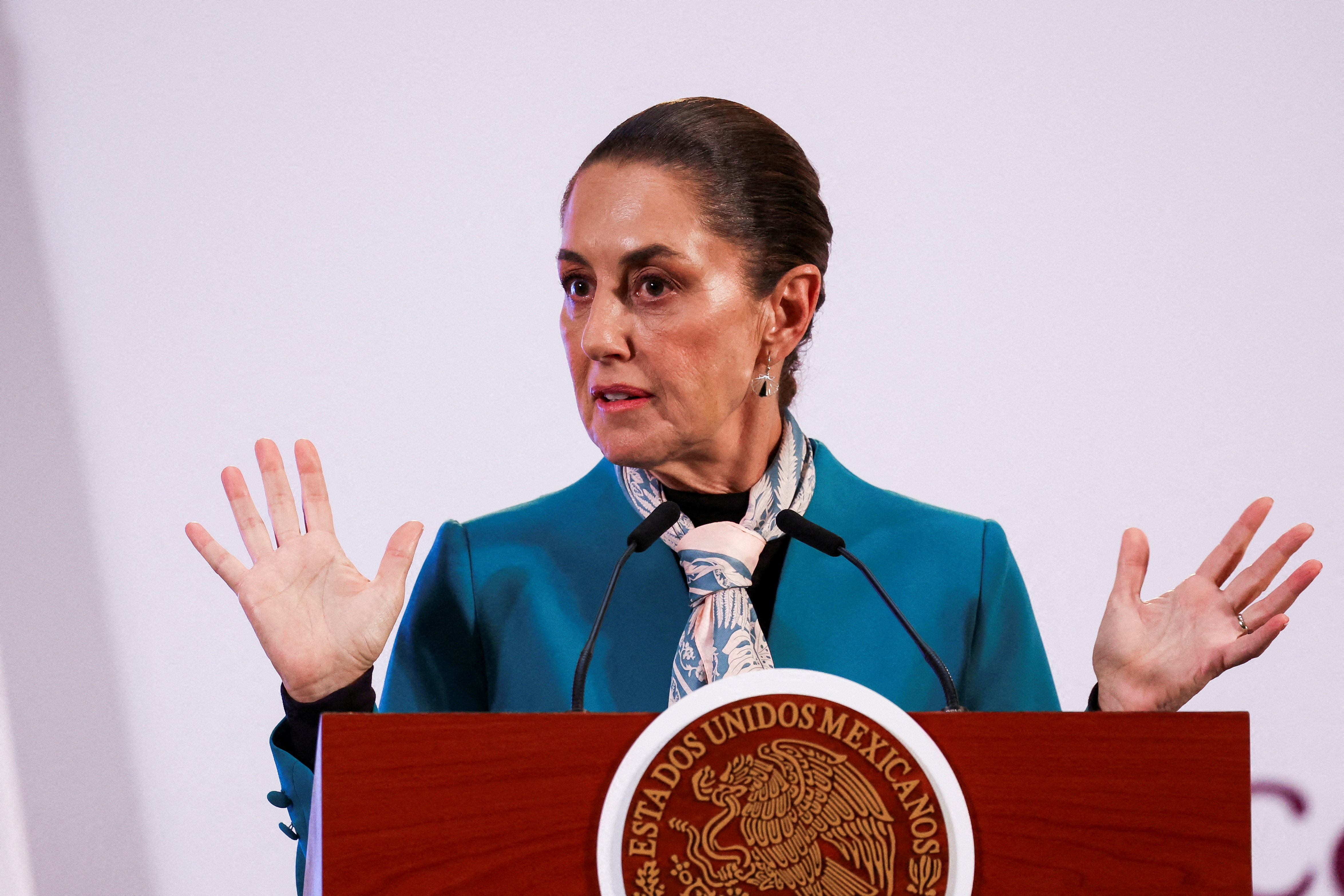 FILE PHOTO: Mexico's President Claudia Sheinbaum holds a press conference in Mexico City