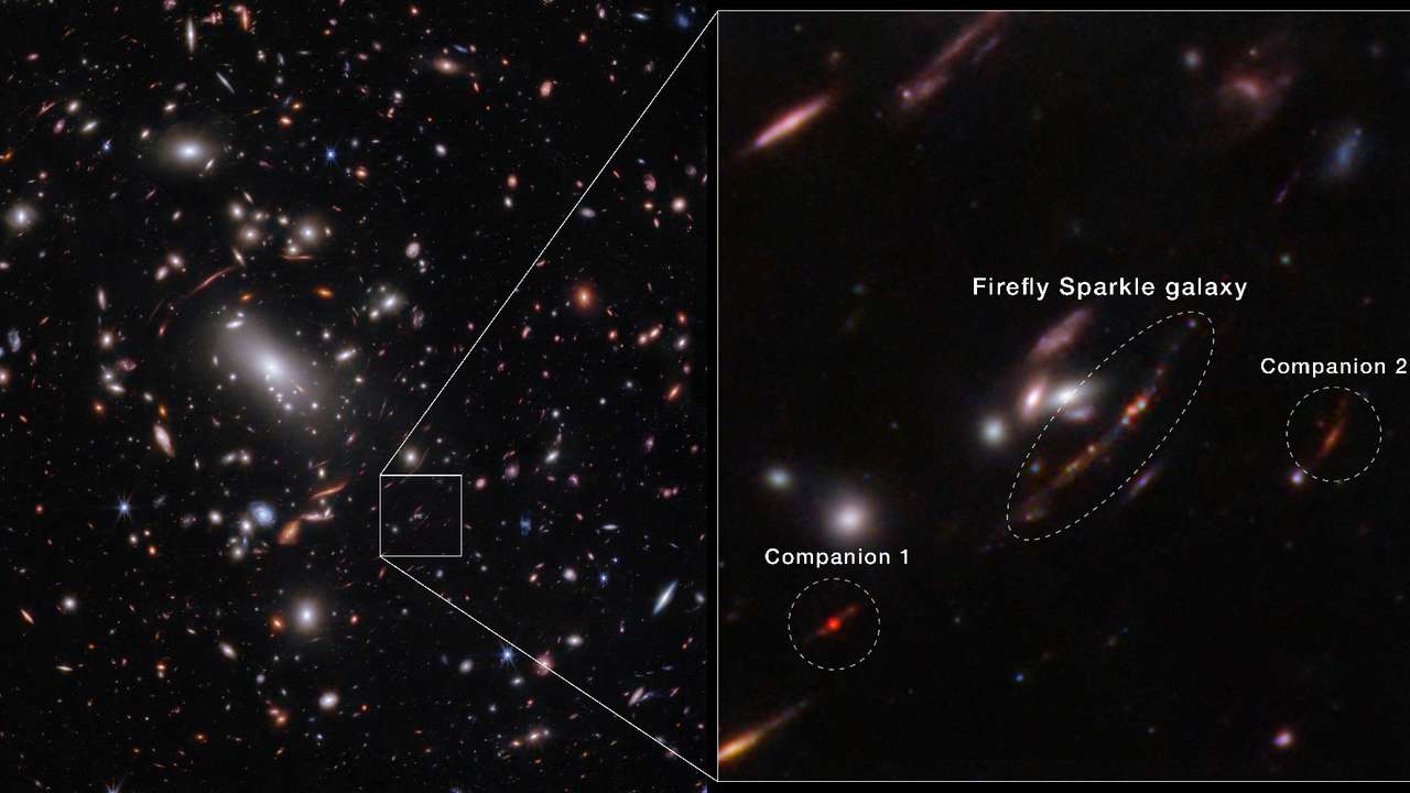 An image acquired by the James Webb Space Telescope shows a newly identified galaxy, the Firefly Sparkle