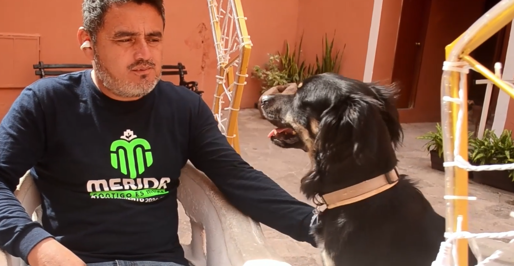 Meet Kaliman: Mexico’s street dog heroMeet Kaliman: Mexico’s street dog hero