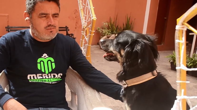 Meet Kaliman: Mexico’s street dog heroMeet Kaliman: Mexico’s street dog hero