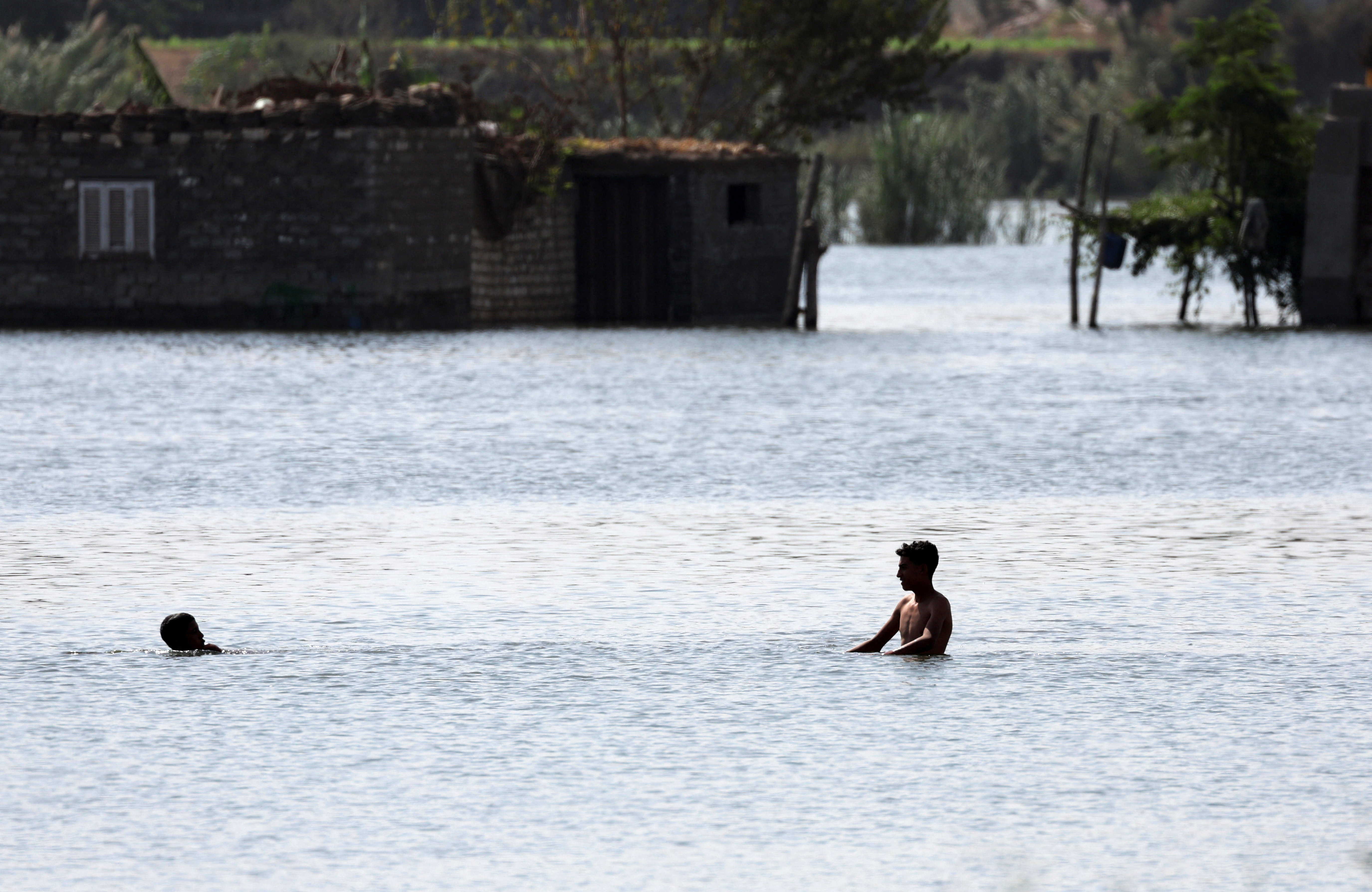 Children swim in the nile to reach their home after flooding in Dalhamo Village, at the Delta city of Ashmoun, in Menoufia Governorate