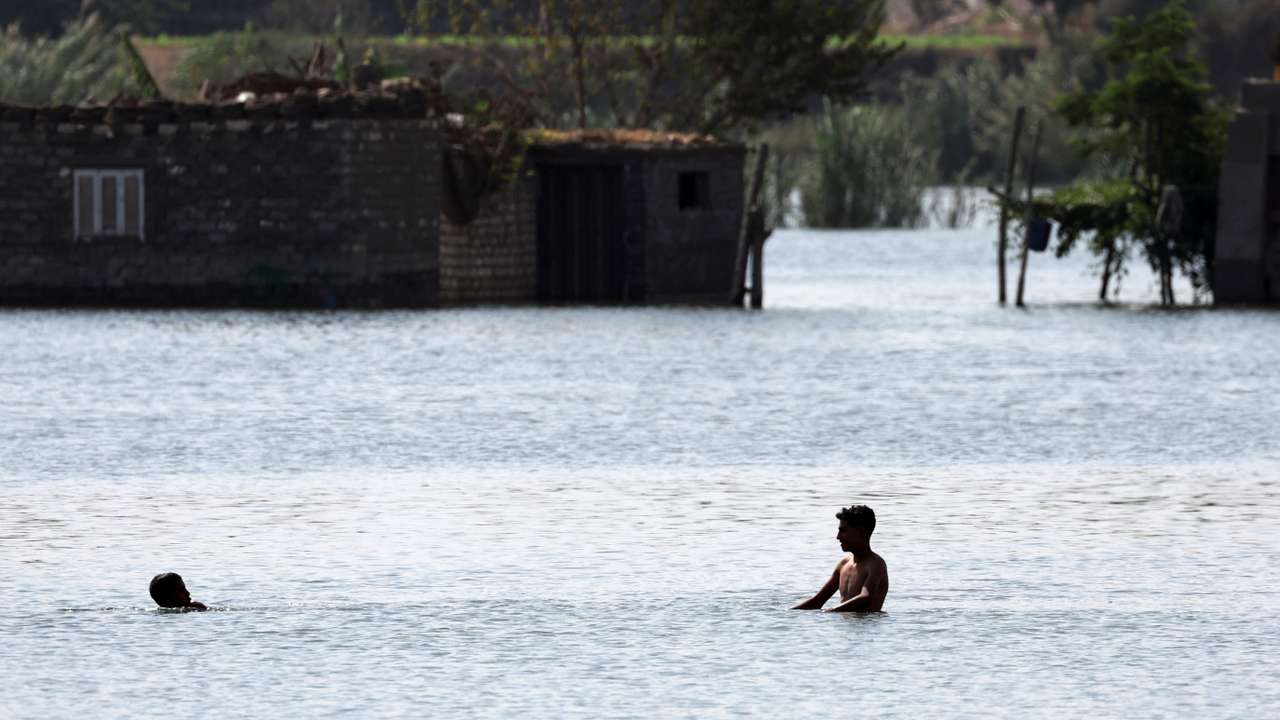Children swim in the nile to reach their home after flooding in Dalhamo Village, at the Delta city of Ashmoun, in Menoufia Governorate