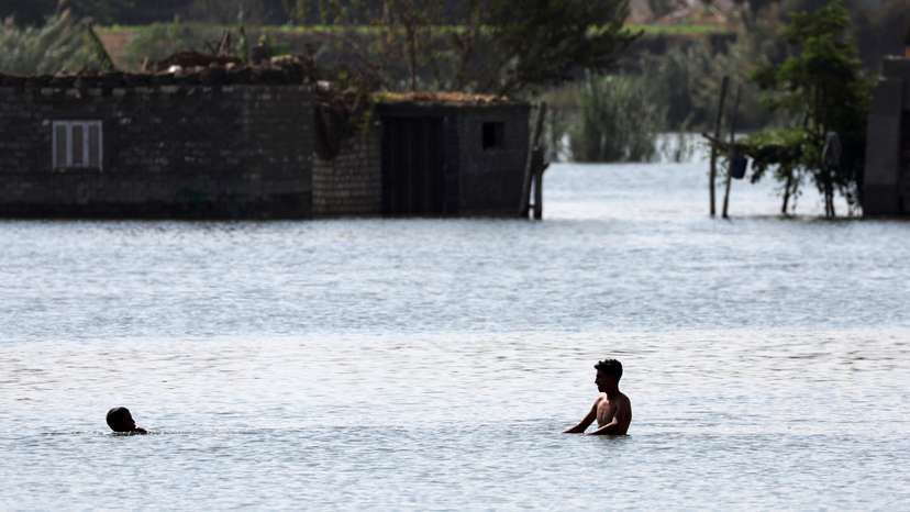 Children swim in the nile to reach their home after flooding in Dalhamo Village, at the Delta city of Ashmoun, in Menoufia Governorate