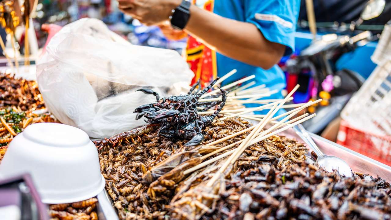 Eine Auslage mit gegrillten Insekten, darunter K�fer und Grillen, sowie einem Skorpion, pr�sentiert auf einem Markt in B