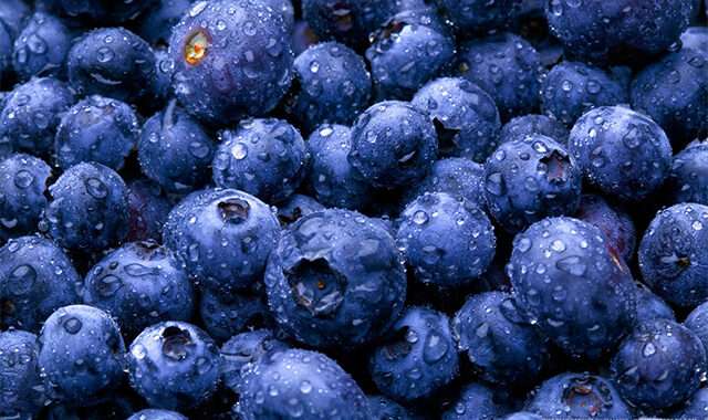 Blueberry