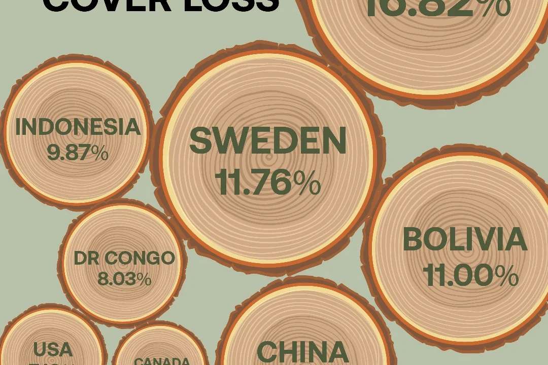 Global forest crisis: Laos leads in tree-cover loss