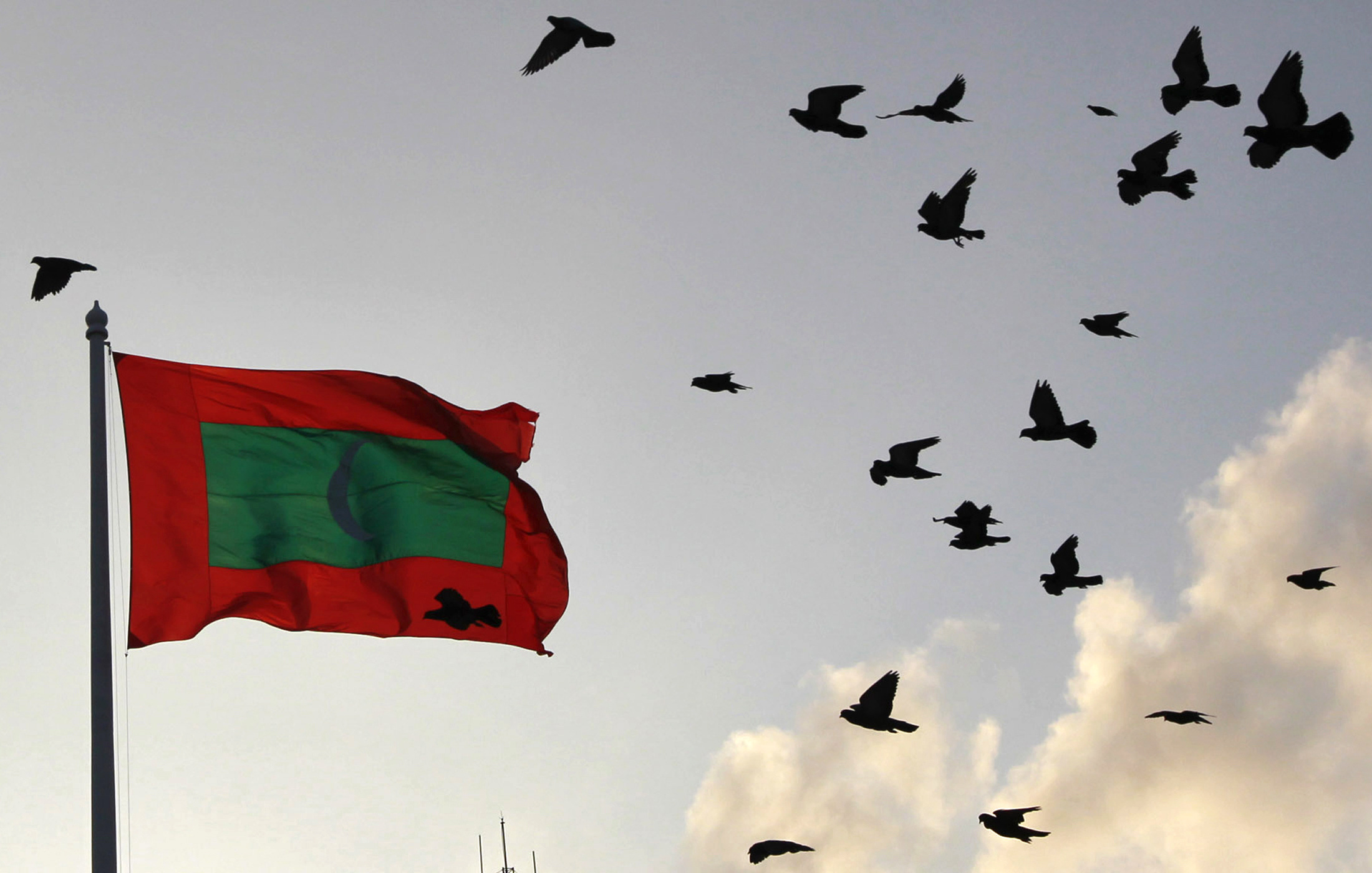 A Maldives national flag flutters as pigeons fly past during the morning in Male