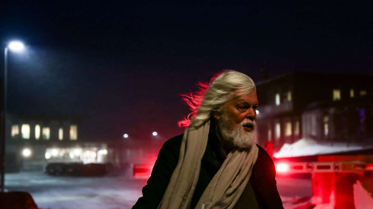 Greenland Environmental activist Paul Watson released