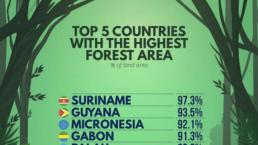 Suriname leads the world as the most forested country, with an incredible 97.3% of its land covered in lush forests, followed by French Guyana and Micronesia. These countries are models of forest preservation,