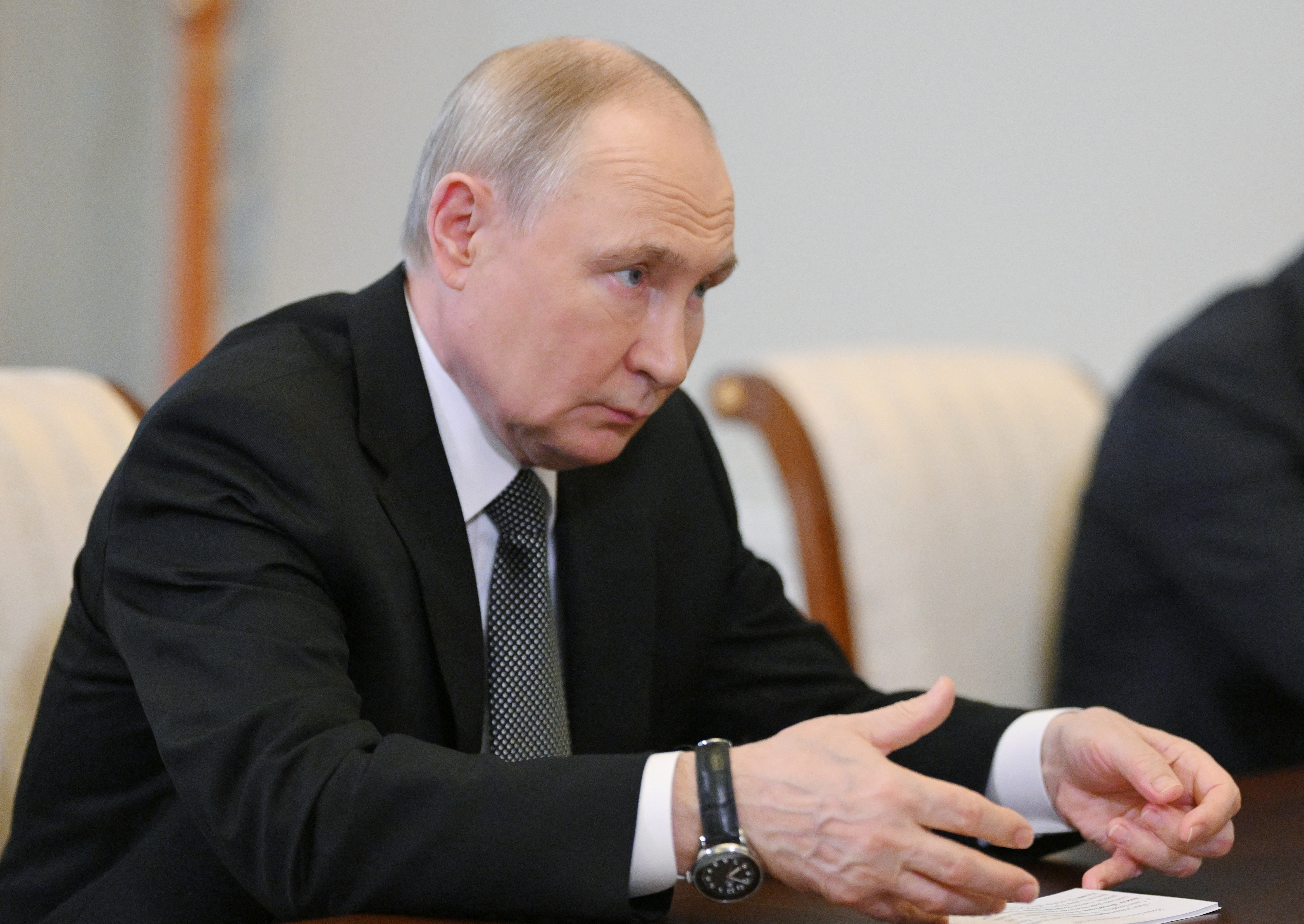 Russian President Vladimir Putin meets with President of the New Development Bank Dilma Rousseff in Strelna
