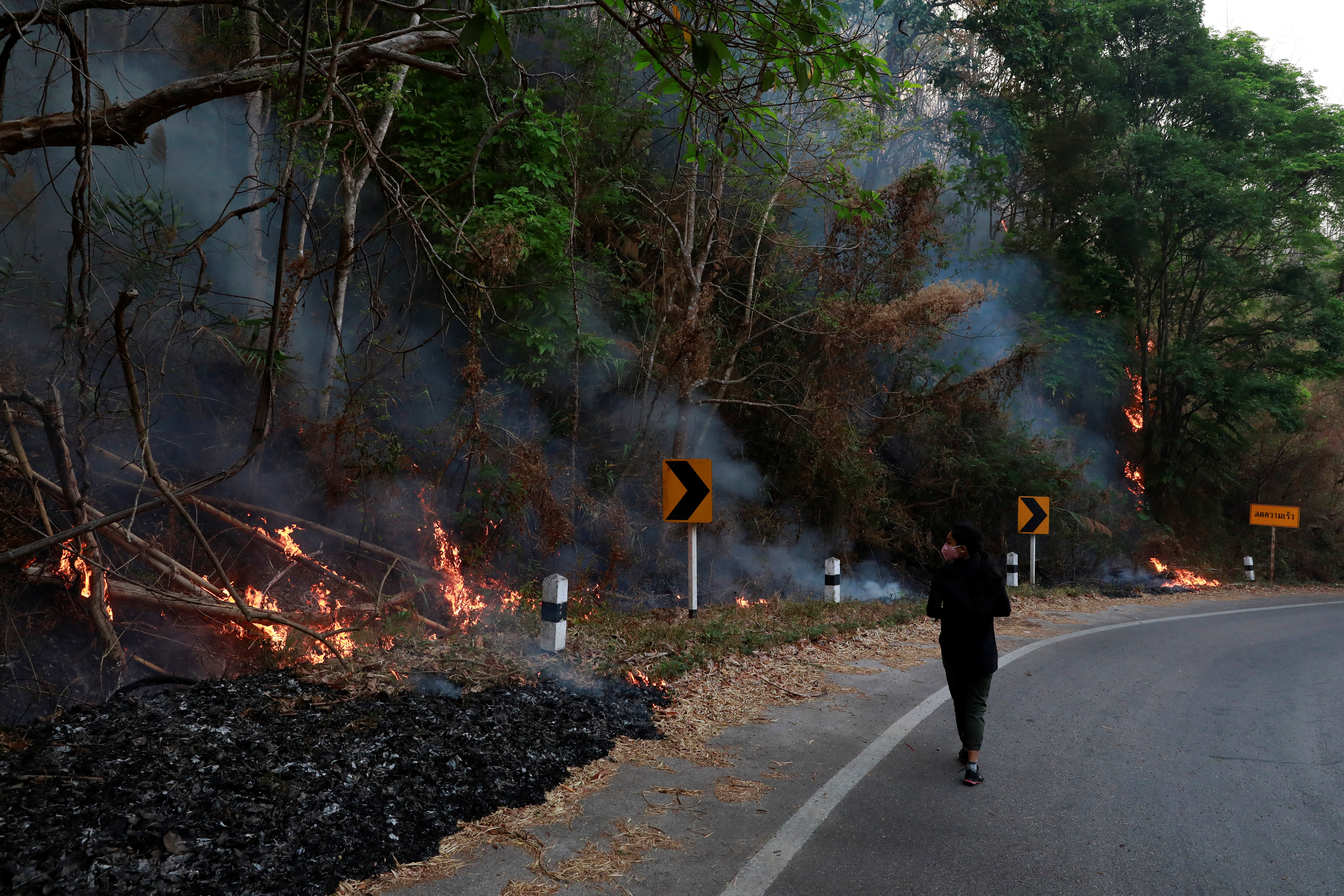 FILE PHOTO: A journalist wears mask near a forest fire in Samoeng District