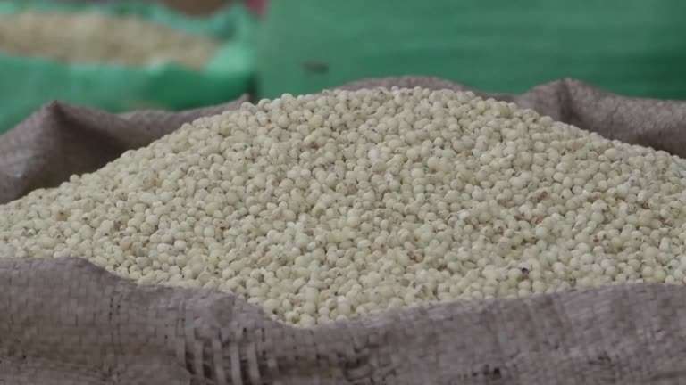 2023-07-17T130201Z_1_LVA001757117072023RP1_RTRWNEV_E_7571-UKRAINE-CRISIS-GRAIN-AFRICA (1)