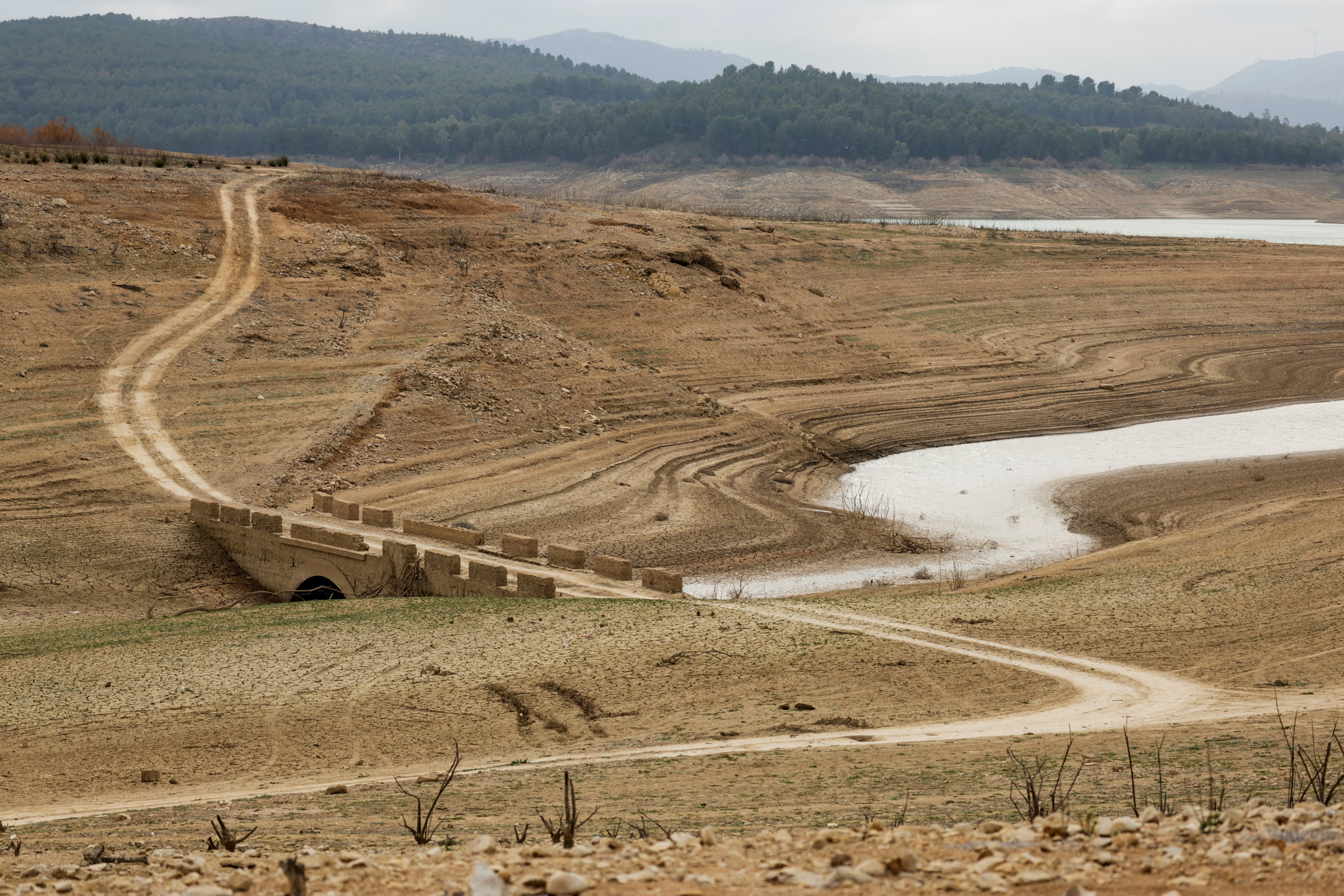 FILE PHOTO: Strong drought at the Guadalteba reservoir in Campillos
