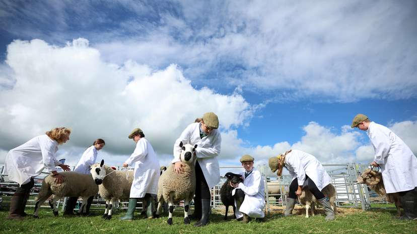 The Wider Image: Urban school farm opens world of opportunity to British teens