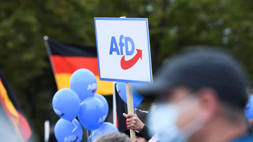 Right wing Alternative for Germany campaigns in Berlin