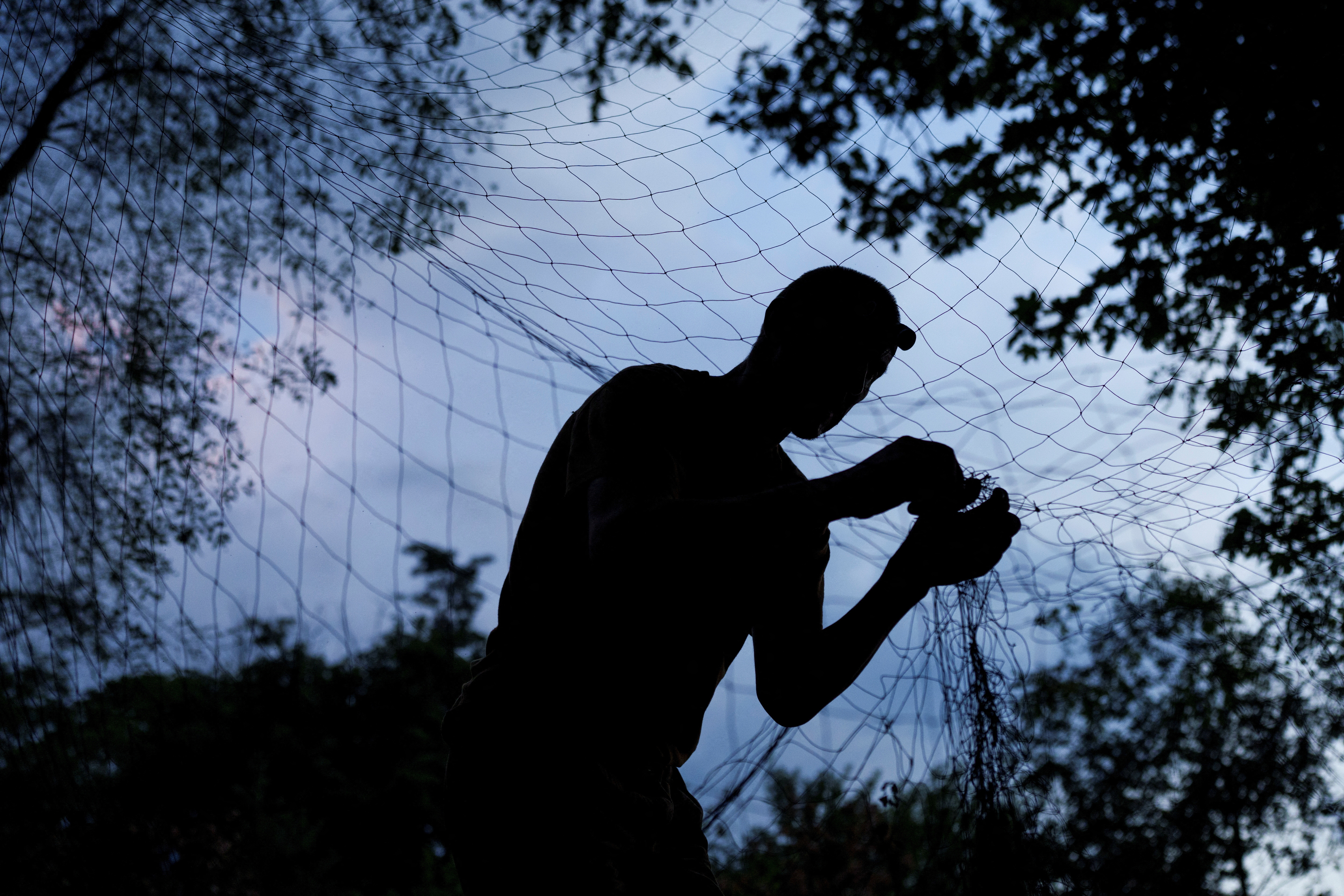 Ukrainian service member installs an anti-drone net at a position in a front line in Kharkiv region