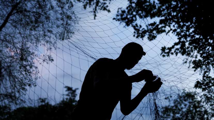 Ukrainian service member installs an anti-drone net at a position in a front line in Kharkiv region