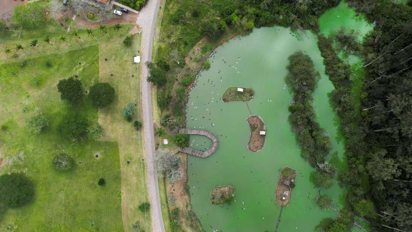 Zoo closed due to outbreak of bird flu in Sapucaia do Sul