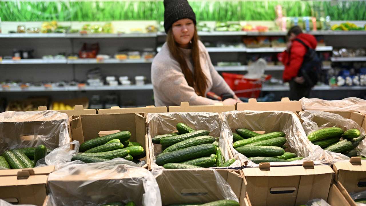 Cucumbers lie in boxes at a supermarket in Omsk