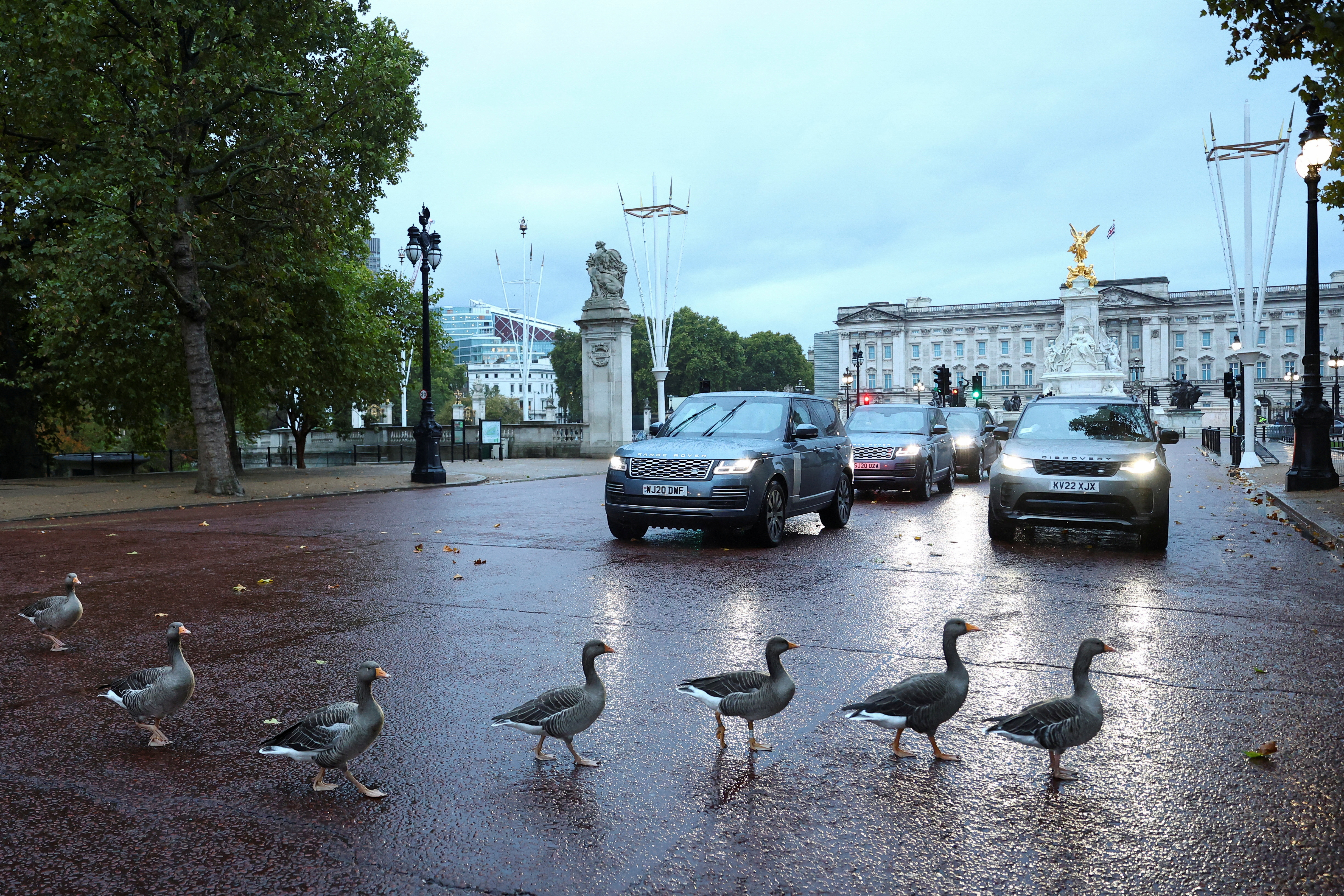 FILE PHOTO: Geese cross the road in front of Buckingham Palace in London