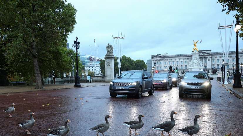 FILE PHOTO: Geese cross the road in front of Buckingham Palace in London