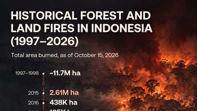 Indonesia's 2026 forest fires burn nearly 2 million hectares as the crisis worsens