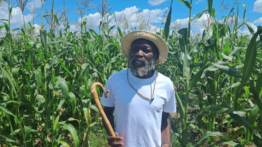 Leader of "religious sect" arrested in Zimbabwe