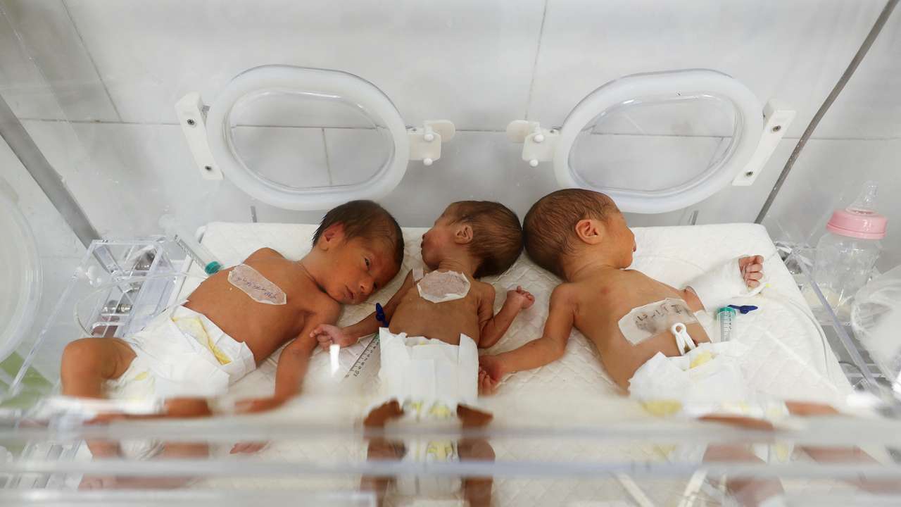 Palestinian babies lie in one incubator due to the limited capacity at the newborns' intensive care unit at Al-Emirati hospital in Rafah in the southern Gaza Strip