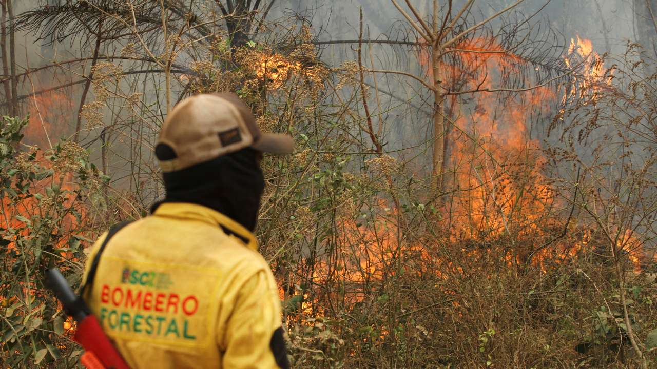 FILE PHOTO: Forest fires in Concepcion