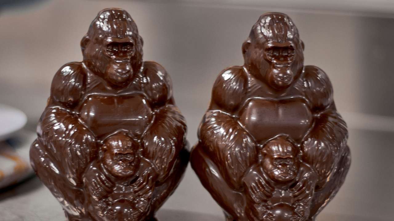 Congo's Virunga park marks 100th birthday with chocolate gorillas in Beni